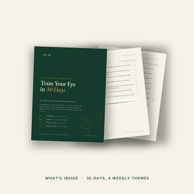 The 30-Day Challenge Companion