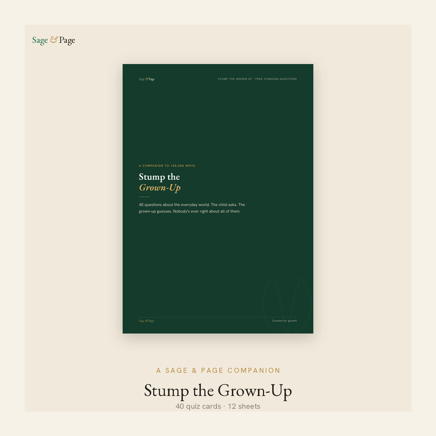 Stump the Grown-Up