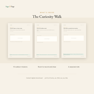 The Curiosity Walk