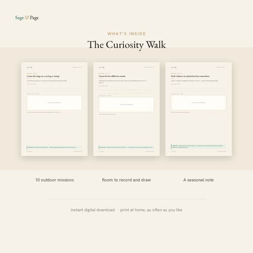 The Curiosity Walk