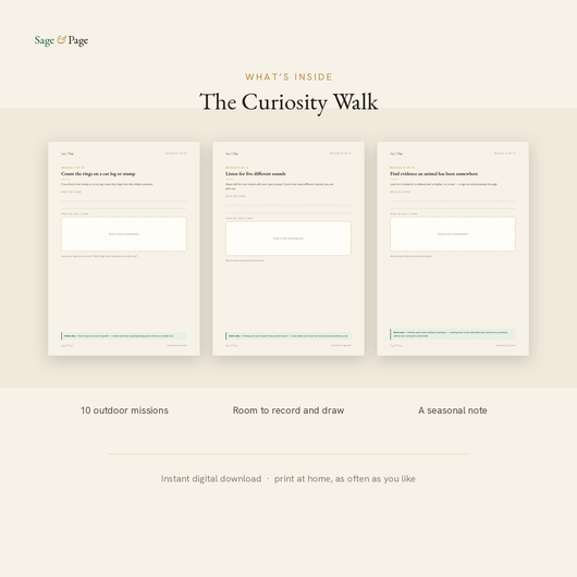 The Curiosity Walk